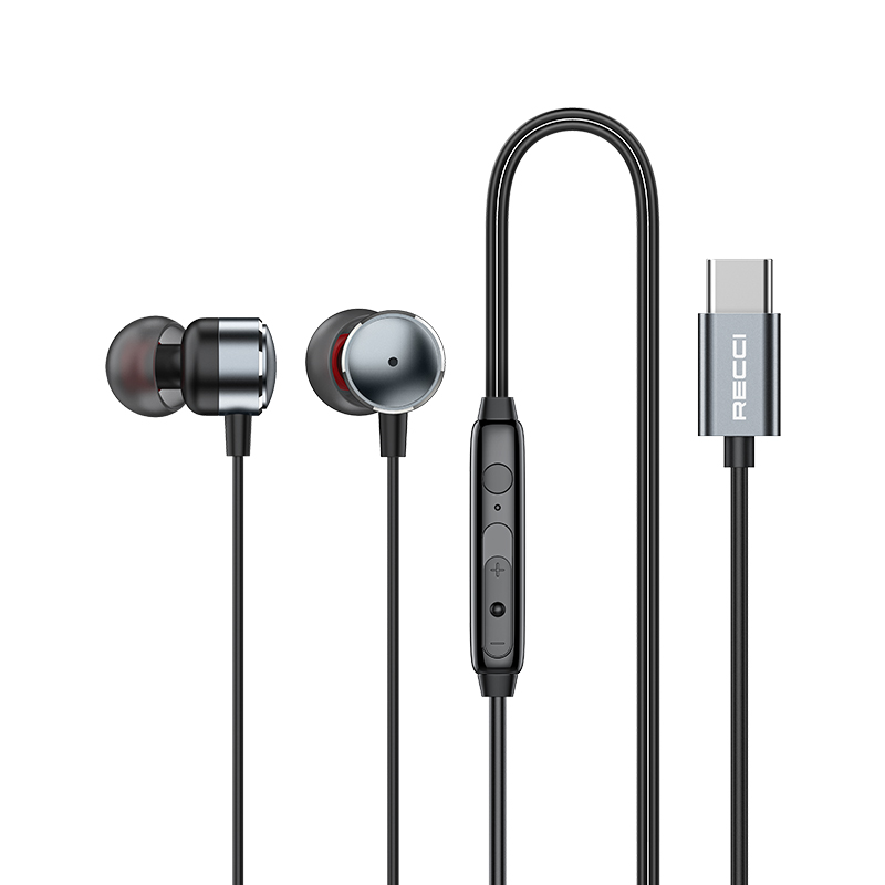 RECCI REP-L38 Μεταλλικά Ενσύρματα Ακουστικά- Silver Gray - Image 5